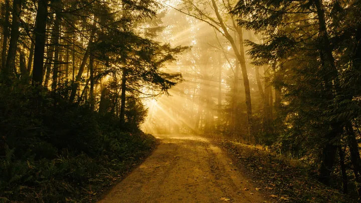 Featured image for The Path To Peace & Joy